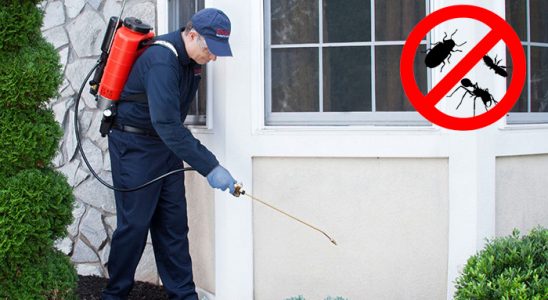 Osmaniye Akrep İlaçlama böcek ilaçlama ve haşere kontrolü — ilaclama-tr.com